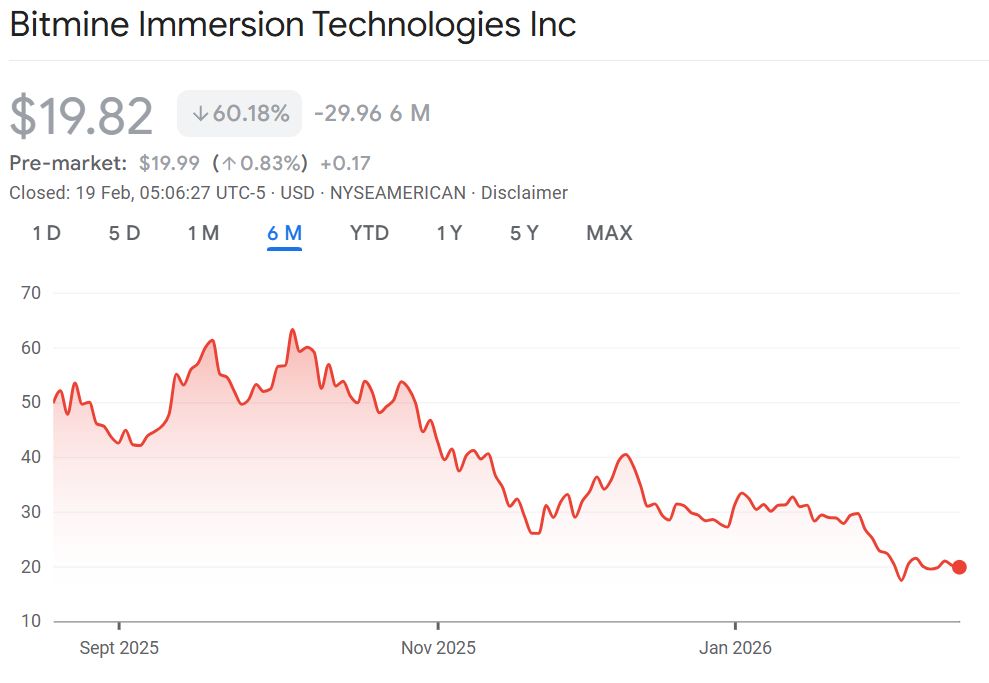 أضافت مورغان ستانلي ومستثمرون كبار آخرون مزيدًا من التعرض لأسهم شركة Bitmine وسط موجة البيع