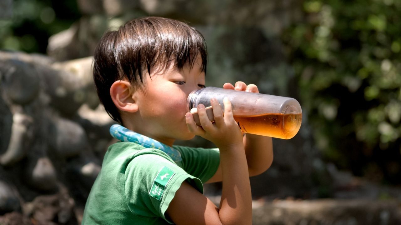 اليابان | وسط تغير المناخ… اليابان تسجل عامًا قياسيًا جديدًا في درجات الحرارة