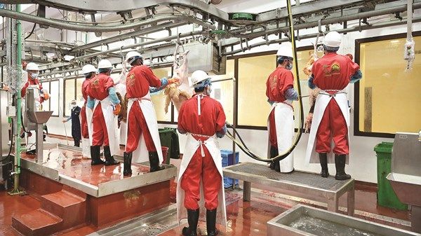 مسالخ أبوظبي وتطبيقاتها الذكية جاهزة لخدمة المتعاملين خلال رمضان