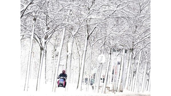 مقتل خمسة أشخاص في عاصفة ثلجية ضربت النمسا