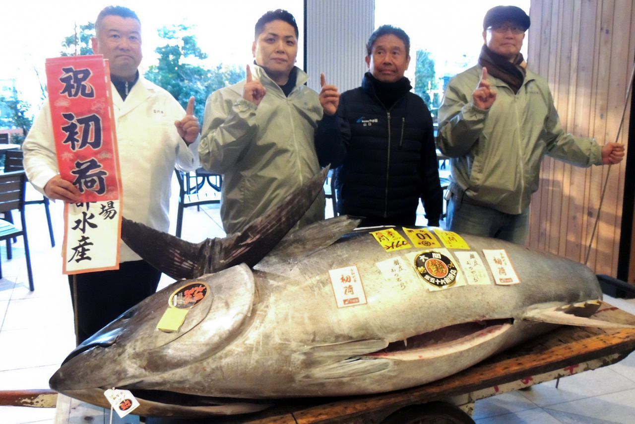 اليابان | رقم قياسي جديد: أغلى سمكة تونة في العالم تُباع في أول مزاد ياباني لعام 2026