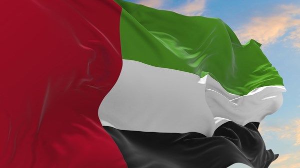 بيان مشترك لدول ومنظمات إسلامية وعربية تُدين تصريحات السفير الأميركي