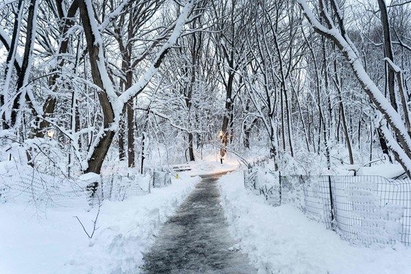 عاصفة ثلجية كبرى تضرب شمال شرق الولايات المتحدة