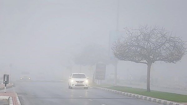 الضباب يؤجل حركة حافلات المدارس برأس الخيمة