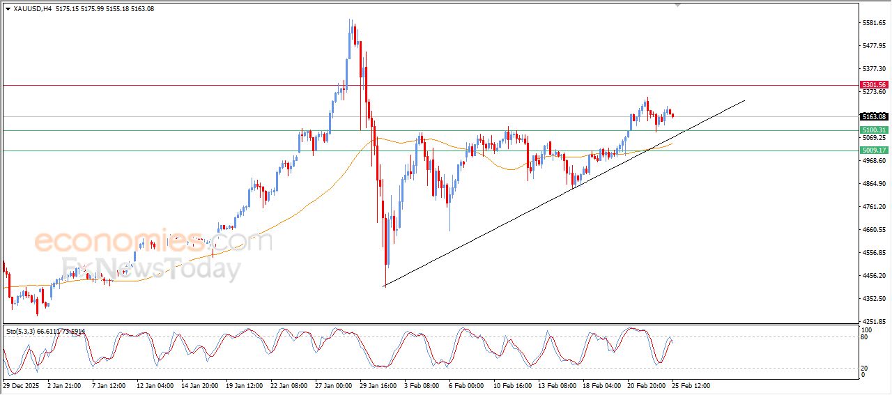 تحديث توقع سعر البتكوين اليوم 25-02-2026