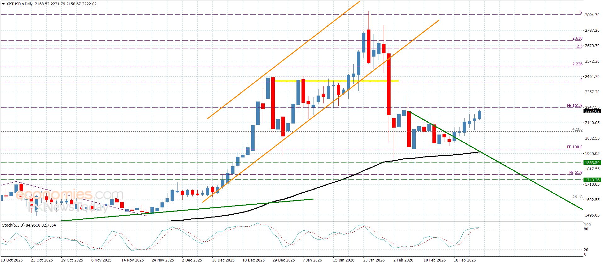 سعر البلاتين يقترب من الهدف– توقعات اليوم 24-2-2026
