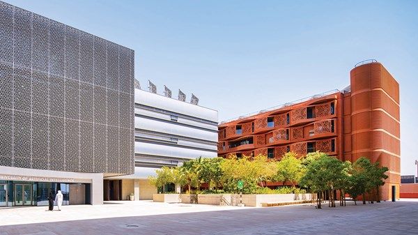 تربويون وأكاديميون: مكانة محورية للتعليم في مسيرة الإمارات التنموية