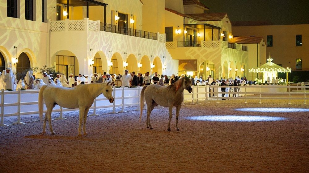 منصور بن زايد يزور ساحة الخيل في نادي أبوظبي للفروسية