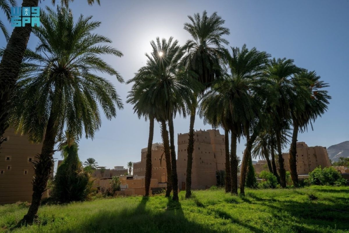 تمور «البياض» و «المواكيل» بنجران رمز للكرم والضيافة في شهر رمضان