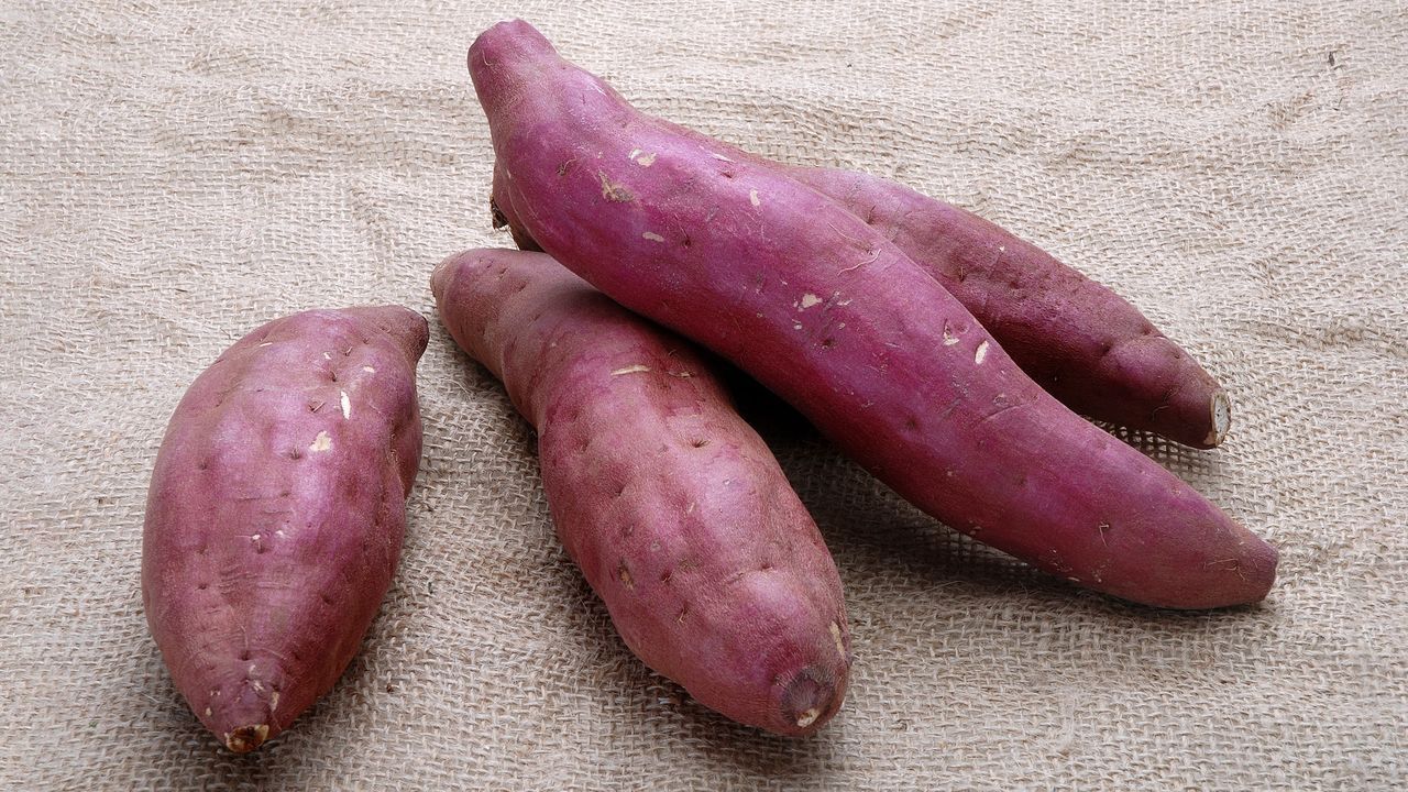 اليابان | البطاطا الحلوة في اليابان… من طعام الأزمات إلى نجمة الحلويات