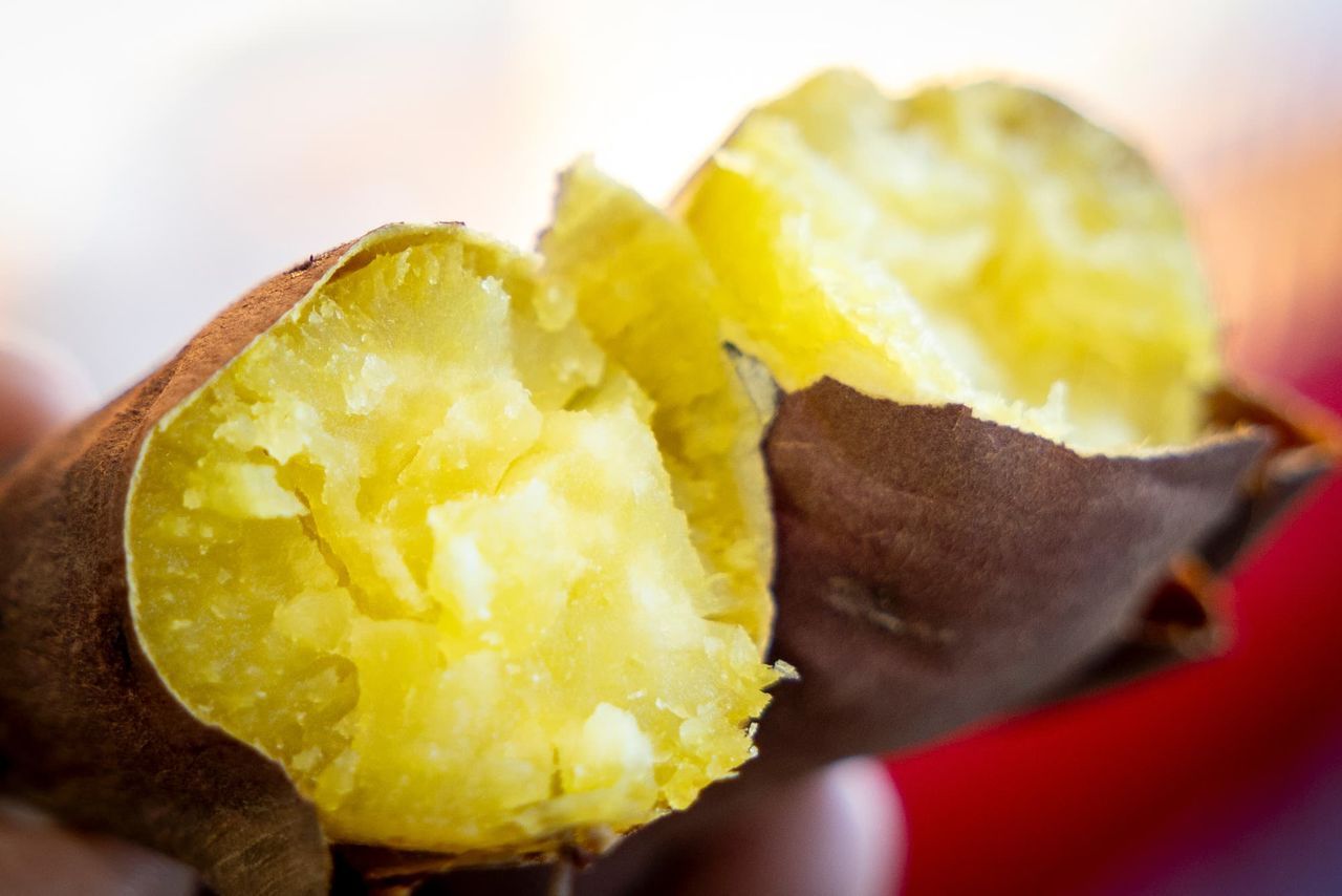 اليابان | البطاطا الحلوة في اليابان… من طعام الأزمات إلى نجمة الحلويات