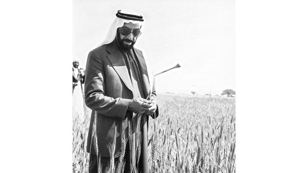 مواطنون ومقيمون: نهج زايد ثقافة مجتمعية تتوارثها الأجيال