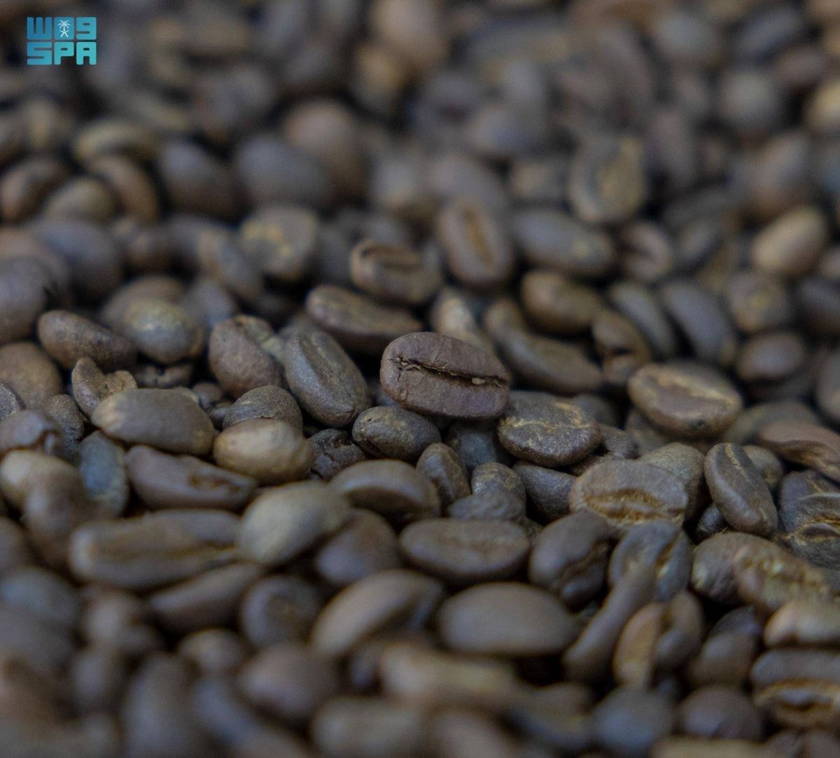 القهوة والتمر يشهدان نشاطا متزايدا في شهر رمضان