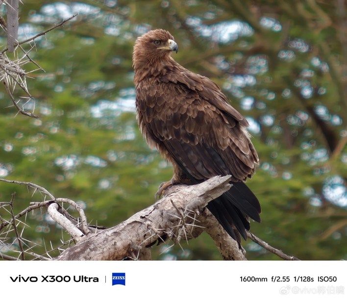 تكنولوجيا: هاتف Vivo X300 Ultra يستعرض قوة الكاميرا مع تقريب يصل إلى 70x في أول عينة تصوير