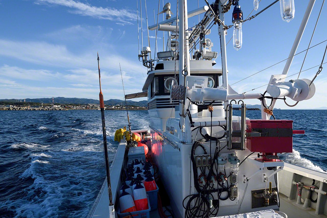 اليابان | في أعماق اليابان.. رحلة إلى كنز «الماس الأسود» وصيد التونة الأسطوري