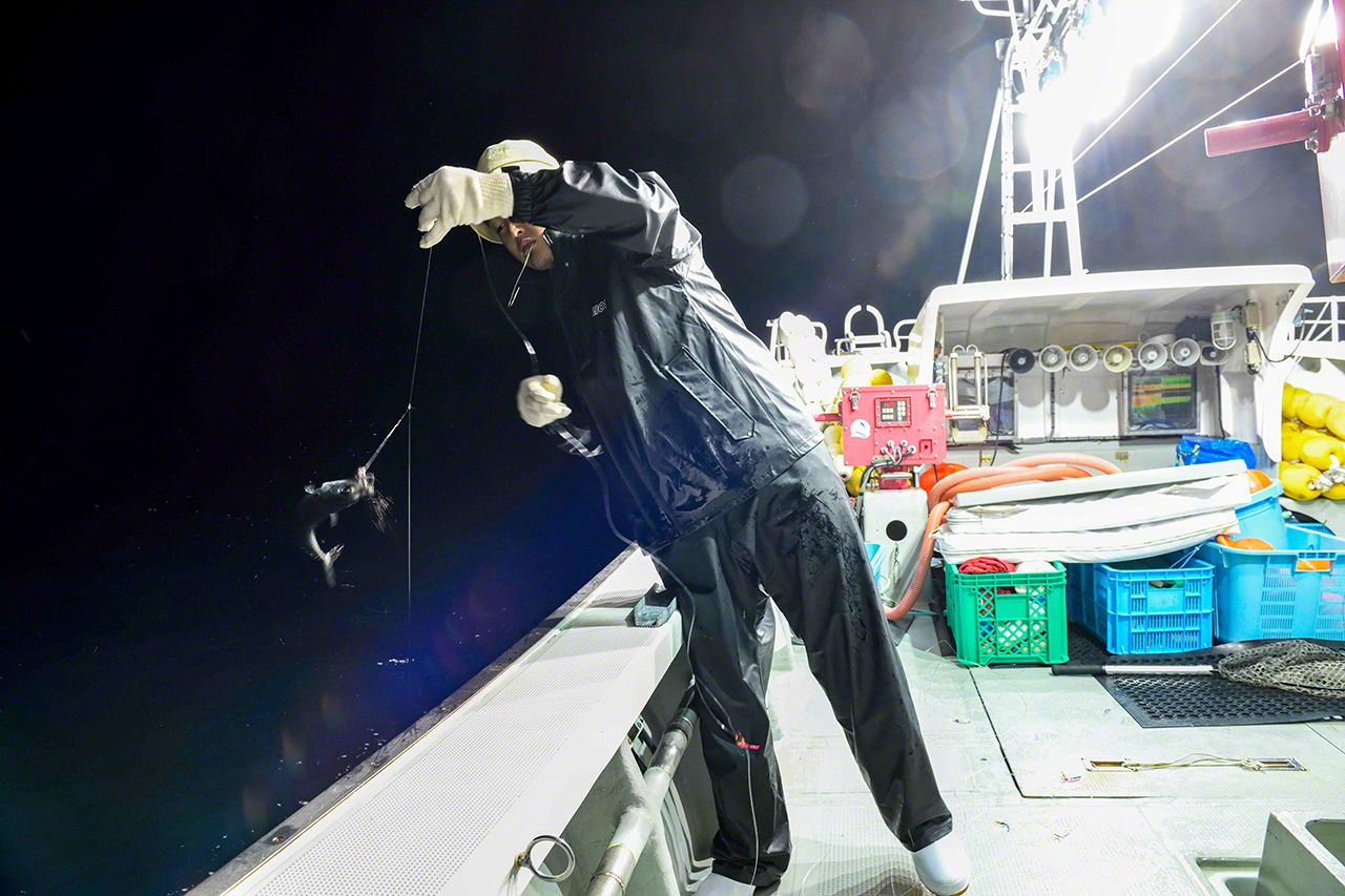 اليابان | في أعماق اليابان.. رحلة إلى كنز «الماس الأسود» وصيد التونة الأسطوري