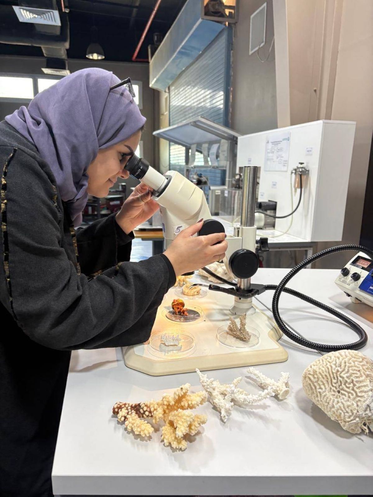 المملكة العربية السعودية تُعزّز جهود إستعادة الشعاب المرجانية في البحر الأحمر عبر إطلاق مبادرة عالمية للتدريب