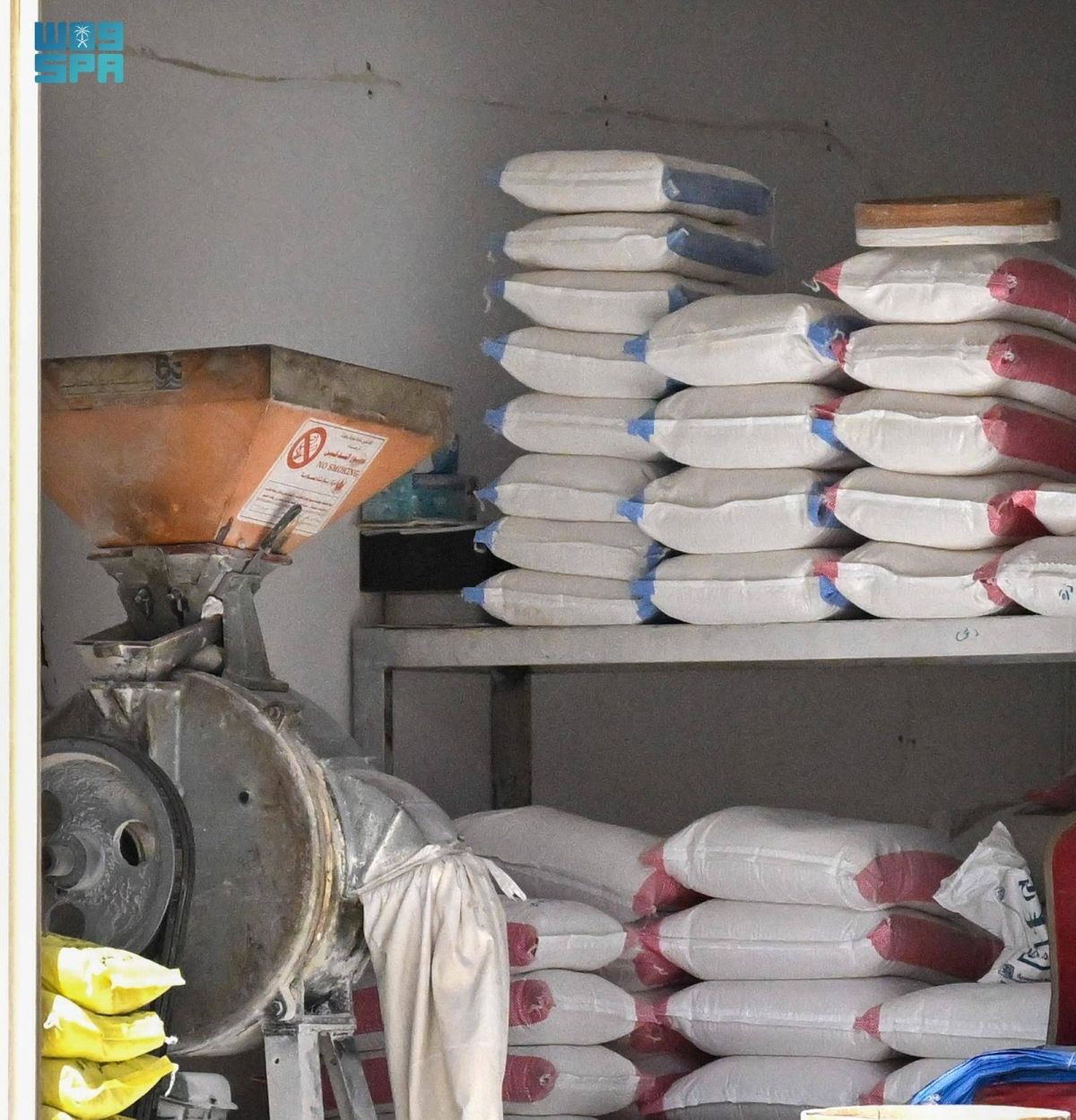 القمح القصيمي.. كنز غذائي ومحصول استراتيجي في حياة الإنسان