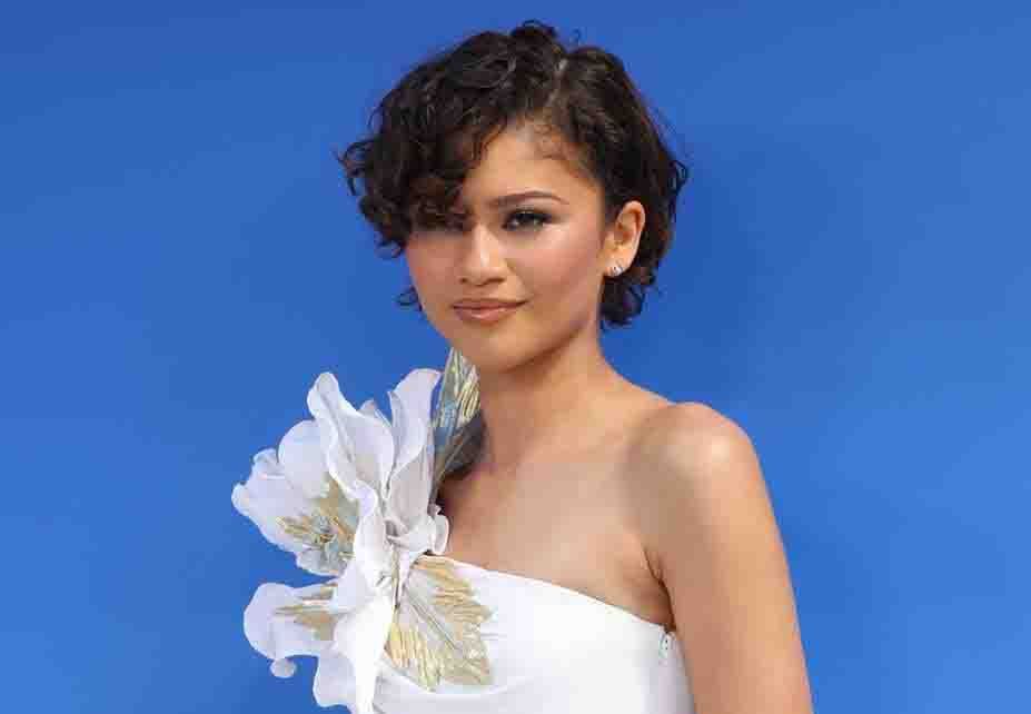 بالصور: فستان ارتدته ويتني هيوستن وخاتم زفاف… زندايا تعود للواجهة وسط أنباء زواجها