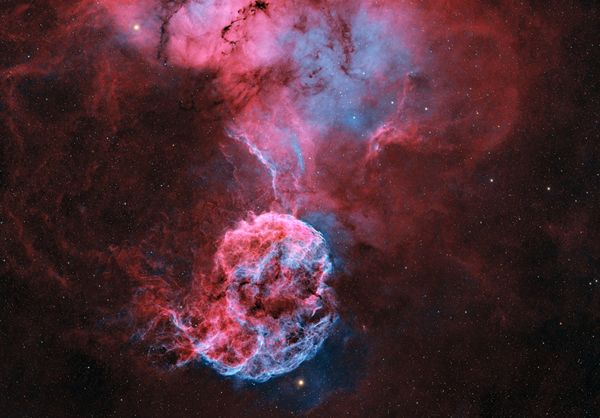 تصوير "قنديل البحر" في سماء أبوظبي