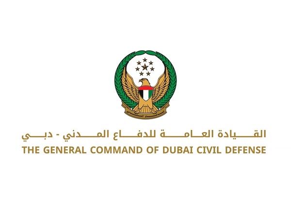 فرق الدفاع المدني تسيطر على حريق بمحيط مطار دبي الدولي من دون تسجيل إصابات