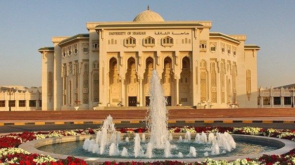 فريق بحثي بجامعة الشارقة: أدوية القلب الشائعة لا تؤثر سلباً على بقاء مرضى الورم النقوي المتعدد