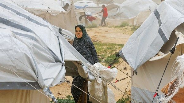 مصر تؤكد أهمية تمكين اللجنة الوطنية لإدارة غزة