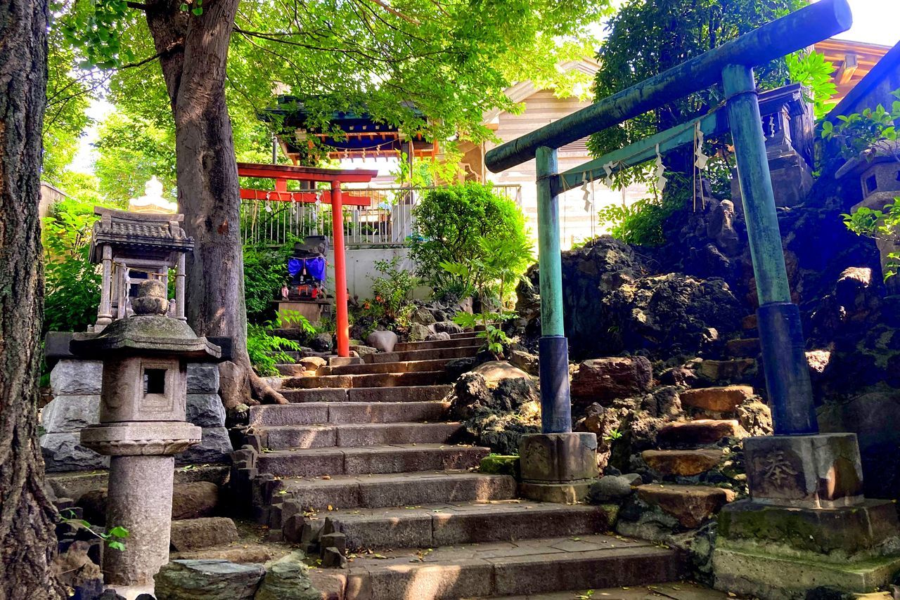 اليابان | نزهة مختلفة في طوكيو… من تاباتا إلى سوغامو خارج صخب يامانوتي