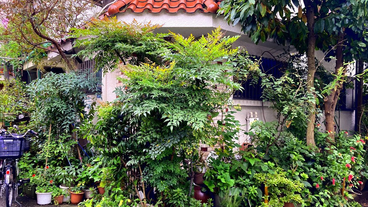 اليابان | نزهة مختلفة في طوكيو… من تاباتا إلى سوغامو خارج صخب يامانوتي