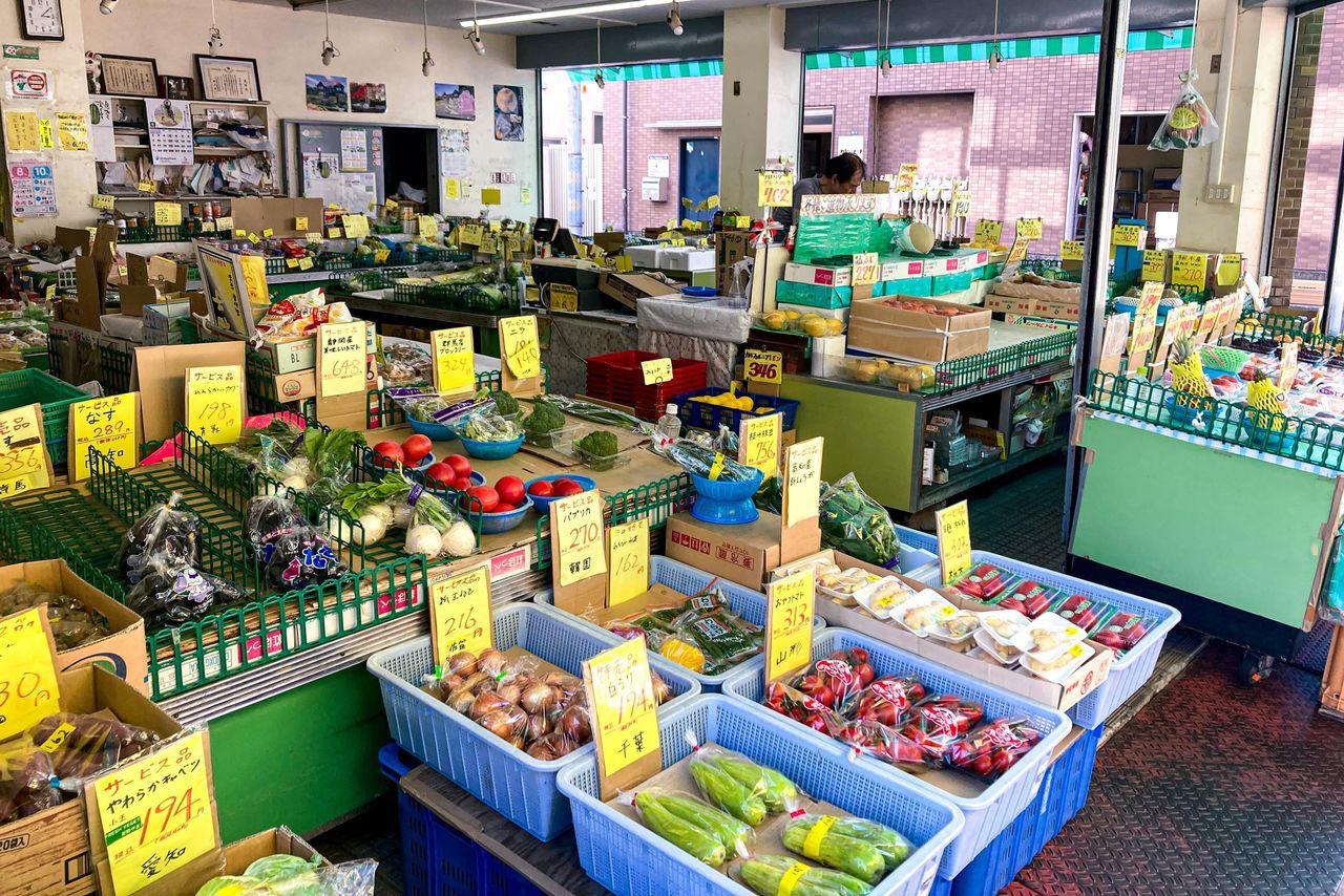 اليابان | نزهة مختلفة في طوكيو… من تاباتا إلى سوغامو خارج صخب يامانوتي