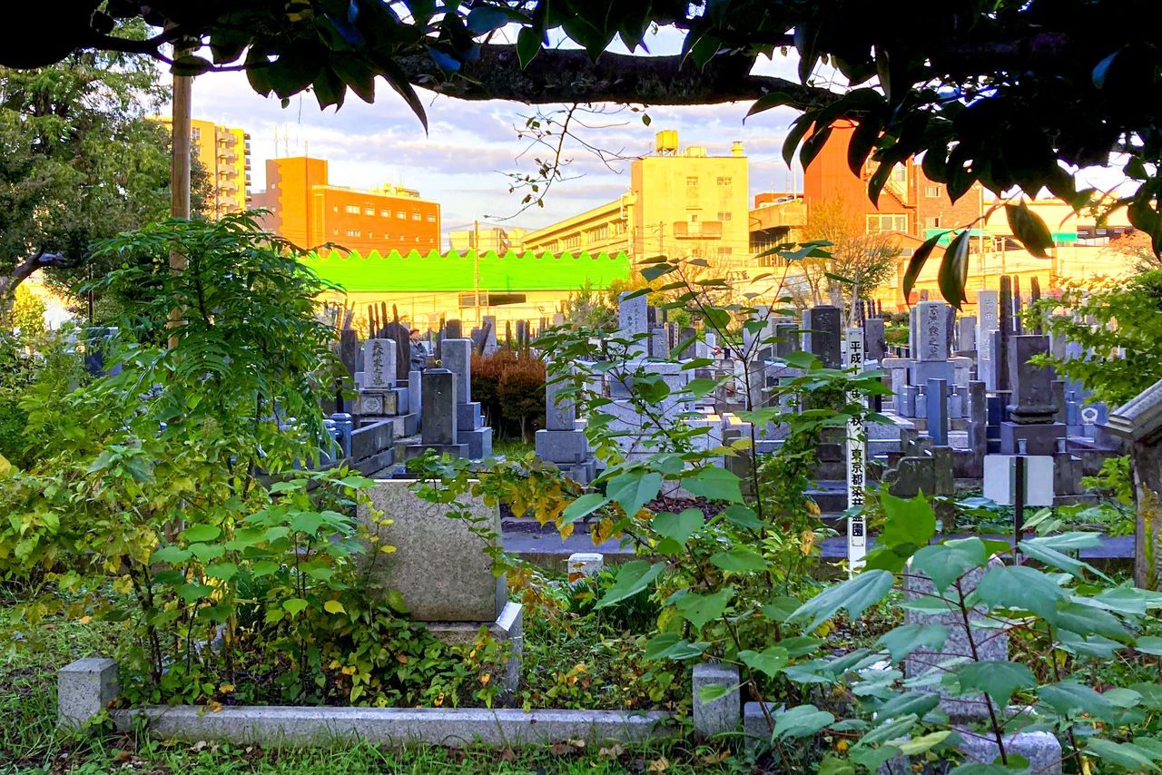 اليابان | نزهة مختلفة في طوكيو… من تاباتا إلى سوغامو خارج صخب يامانوتي