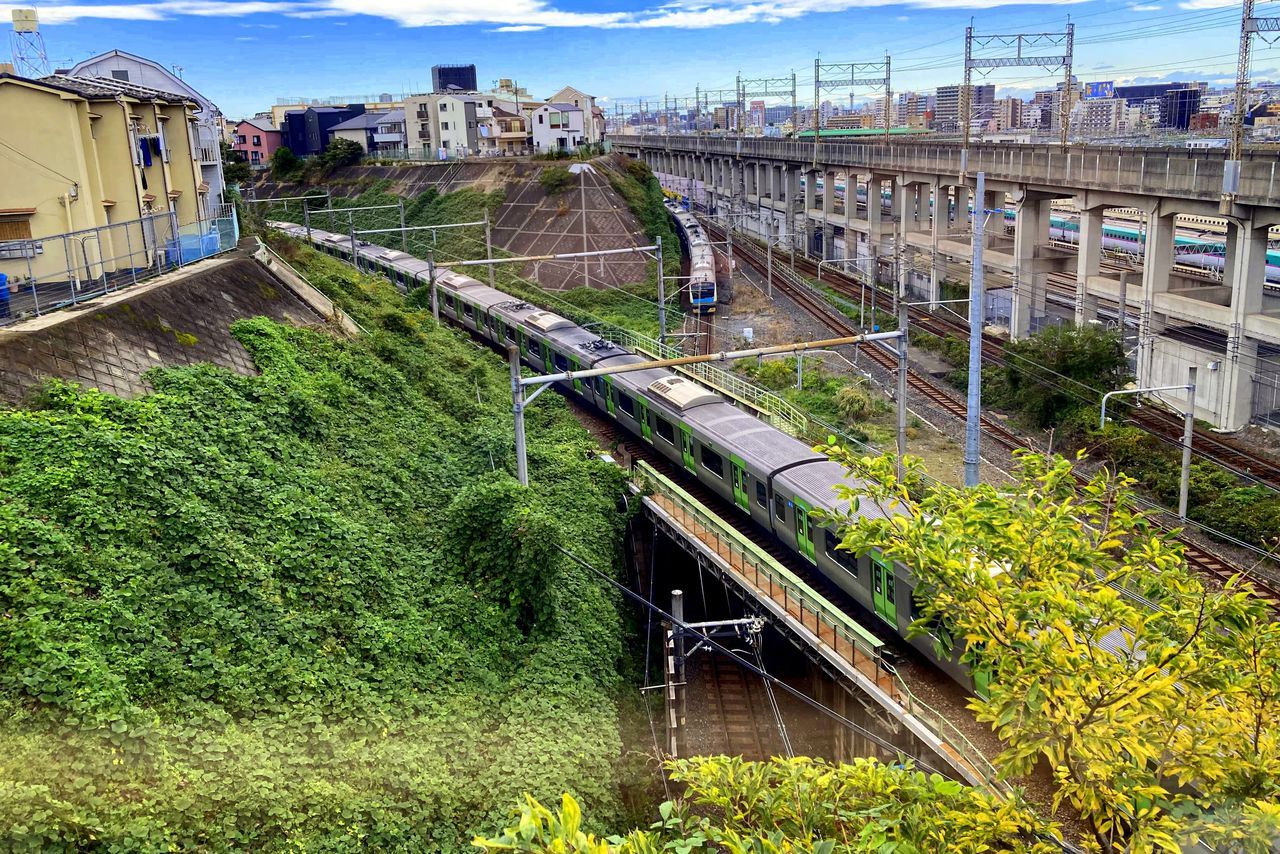اليابان | نزهة مختلفة في طوكيو… من تاباتا إلى سوغامو خارج صخب يامانوتي