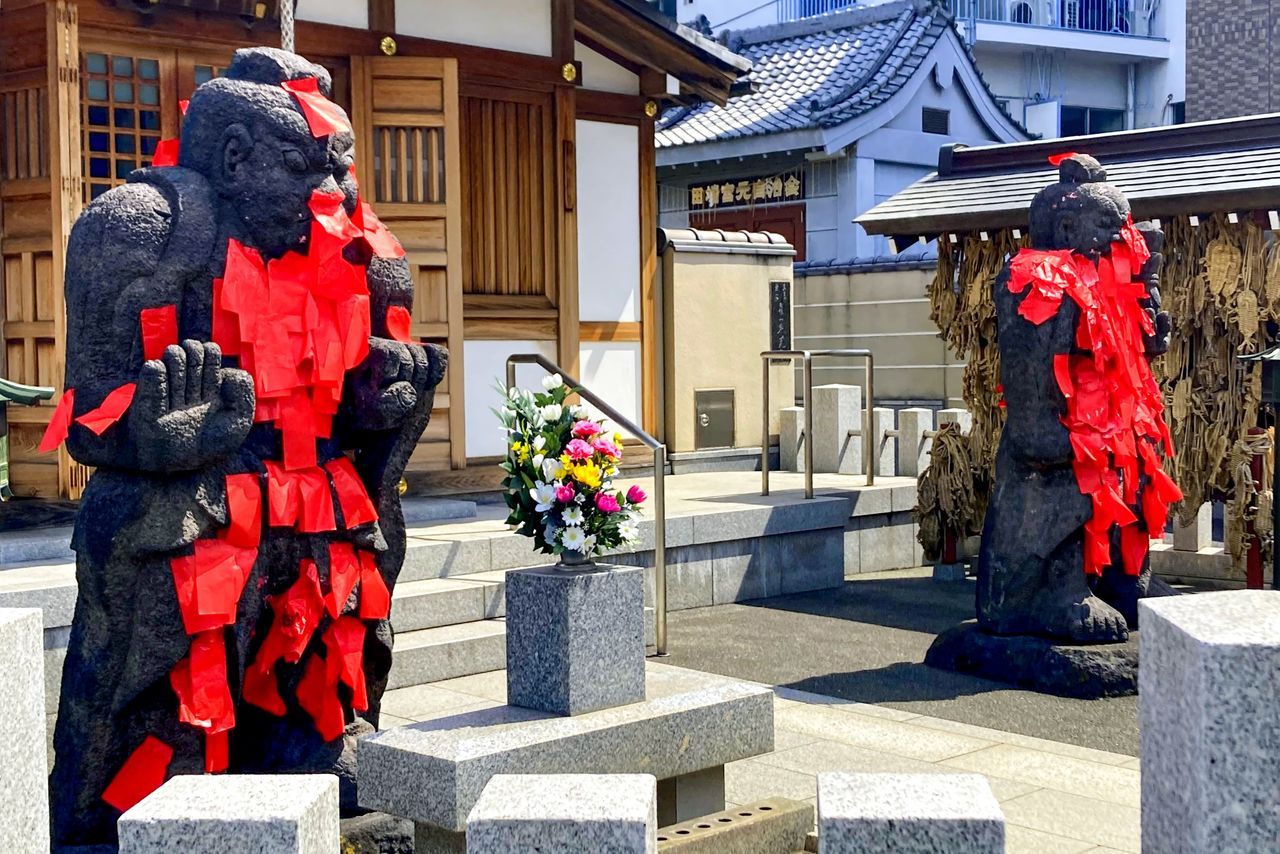 اليابان | نزهة مختلفة في طوكيو… من تاباتا إلى سوغامو خارج صخب يامانوتي