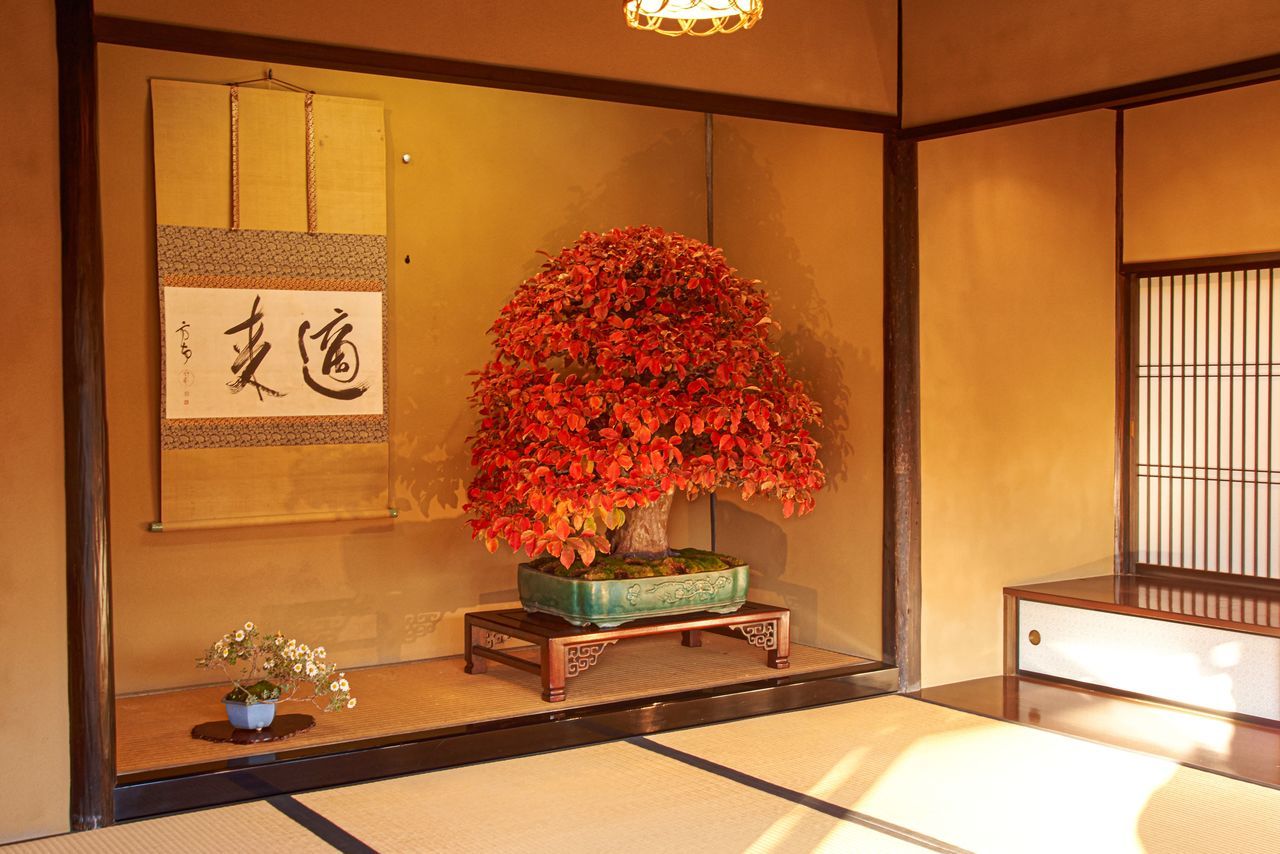 اليابان | الواشيتسو والتاتامي والتوكونوما… هل تصمد روح البيت الياباني أمام رياح التغيير؟