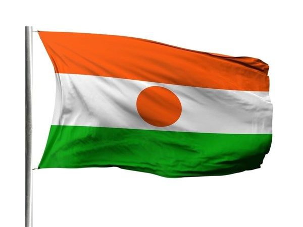 جيش النيجر: مقتل 27 إرهابياً خلال عمليات أمنية