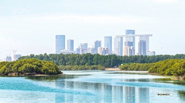 الإمارات.. ريادة مستدامة في إدارة المياه