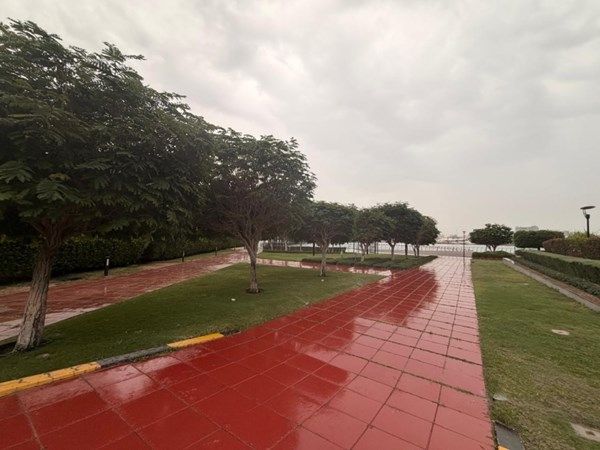 أمطار غزيرة ومتوسطة على مختلف مناطق الدولة