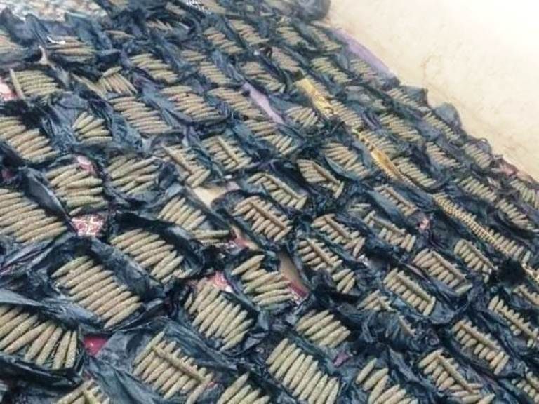 ضبط 2800 قندول بنقو بالجزيرة في عملية نوعية لمكافحة التهريب