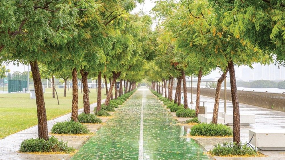 جاهزية شاملة في أبوظبي لمواجهة التقلبات الجوية