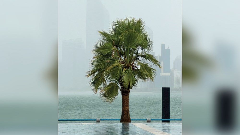 «الحالة الجوية» تبدأ بالانحسار غداً