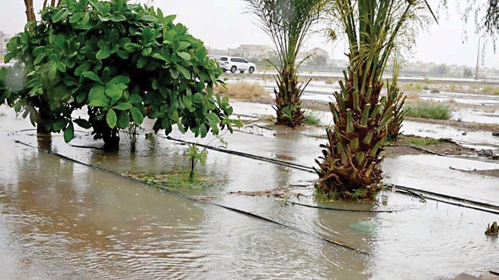 «الحالة الجوية» تبدأ بالانحسار غداً