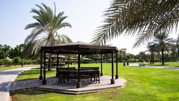 بلدية عجمان تنفذ مشاريع عدة لزيادة الرقعة الخضراء في الإمارة