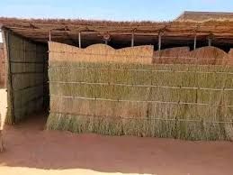 شاهد بالفيديو.. رمى عليهم عبوة ناسفة وهرب.. جنود بالدعم السريع يضبطون مرتزق من جنوب السودان في وضع مخل مع سيدة داخل “راكوبة” بمدينة الفولة