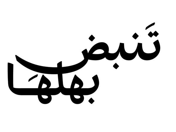 «تنمية المجتمع» تُطلق أولى محطات «تنبض بأهلها» من منطقة العامرة