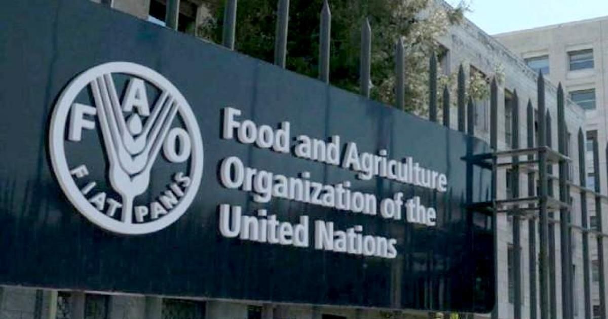 ارتفاع أسعار الغذاء العالمية في بسبب الحرب على إيران