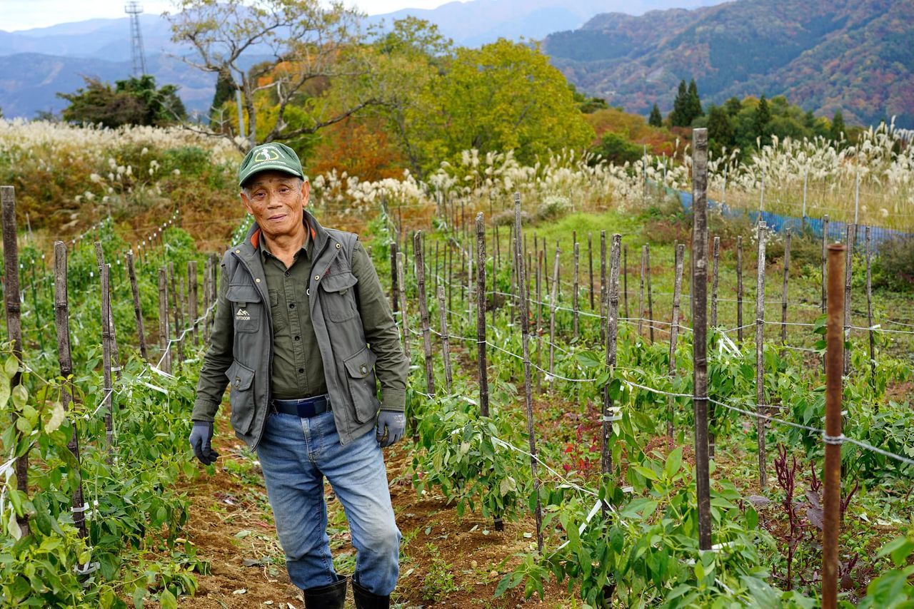 اليابان | كارازو… كيف يضيف التخمير لمسة يابانية فريدة إلى الفلفل الحار؟