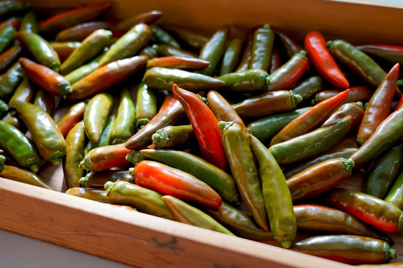 اليابان | كارازو… كيف يضيف التخمير لمسة يابانية فريدة إلى الفلفل الحار؟