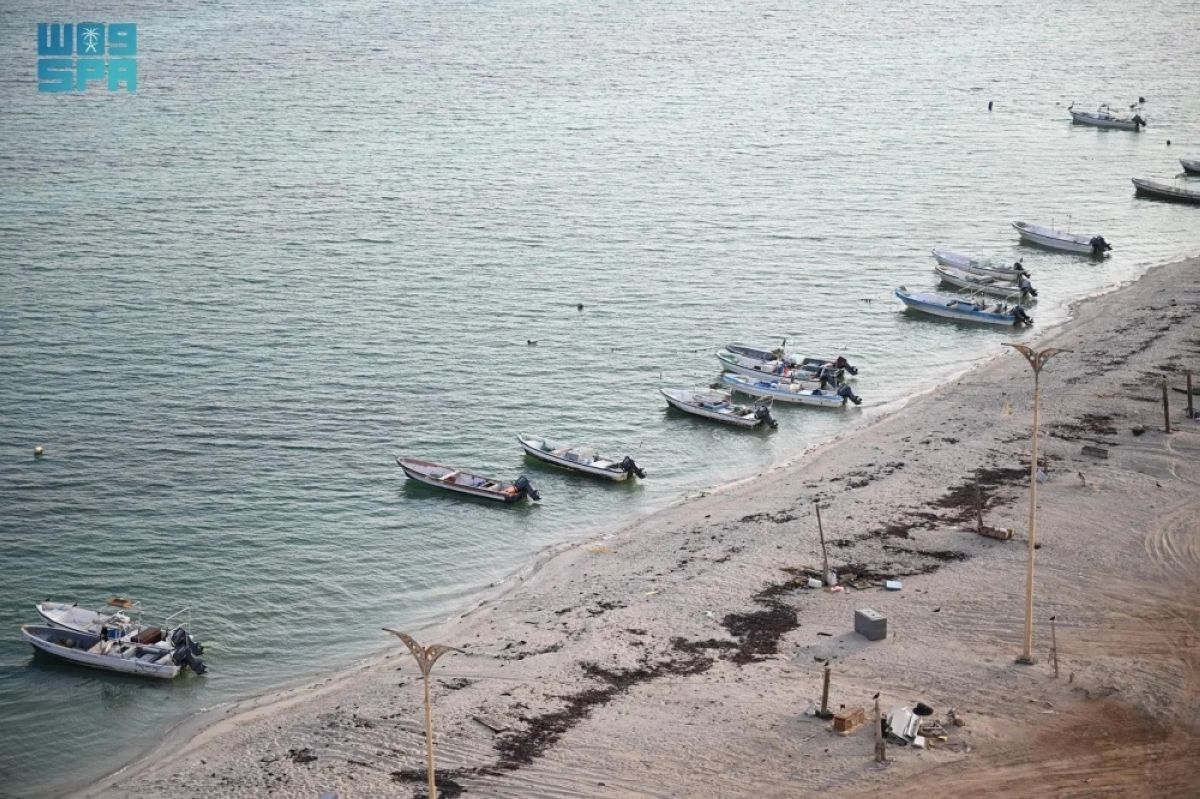 «الحريد».. حكاية يرويها البحر على شاطئ الحصيص في كل عام