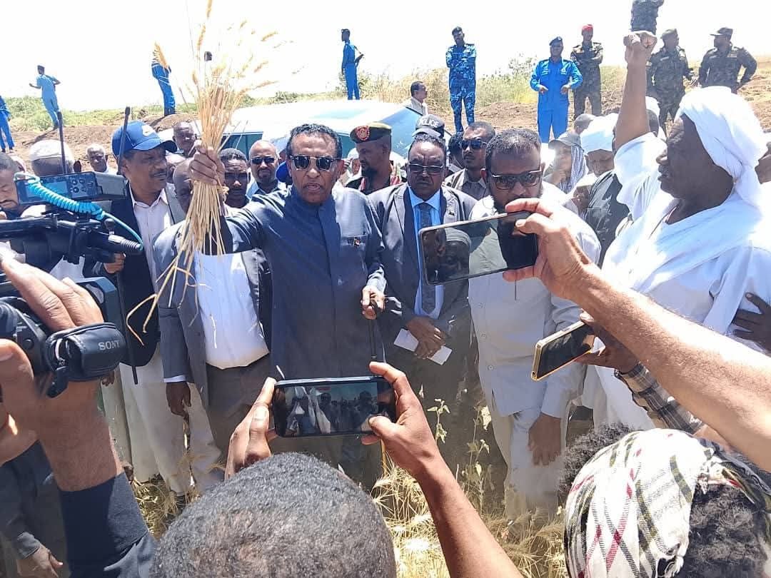 رئيس الوزراء يدشن حصاد القمح بمشروع الجزيرة