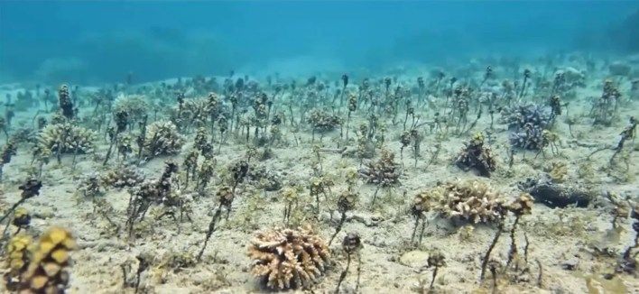 تكنولوجيا: هاتف Galaxy Z Fold7 يحصل على وضع التصوير المحيطي الاستثنائي من سامسونج